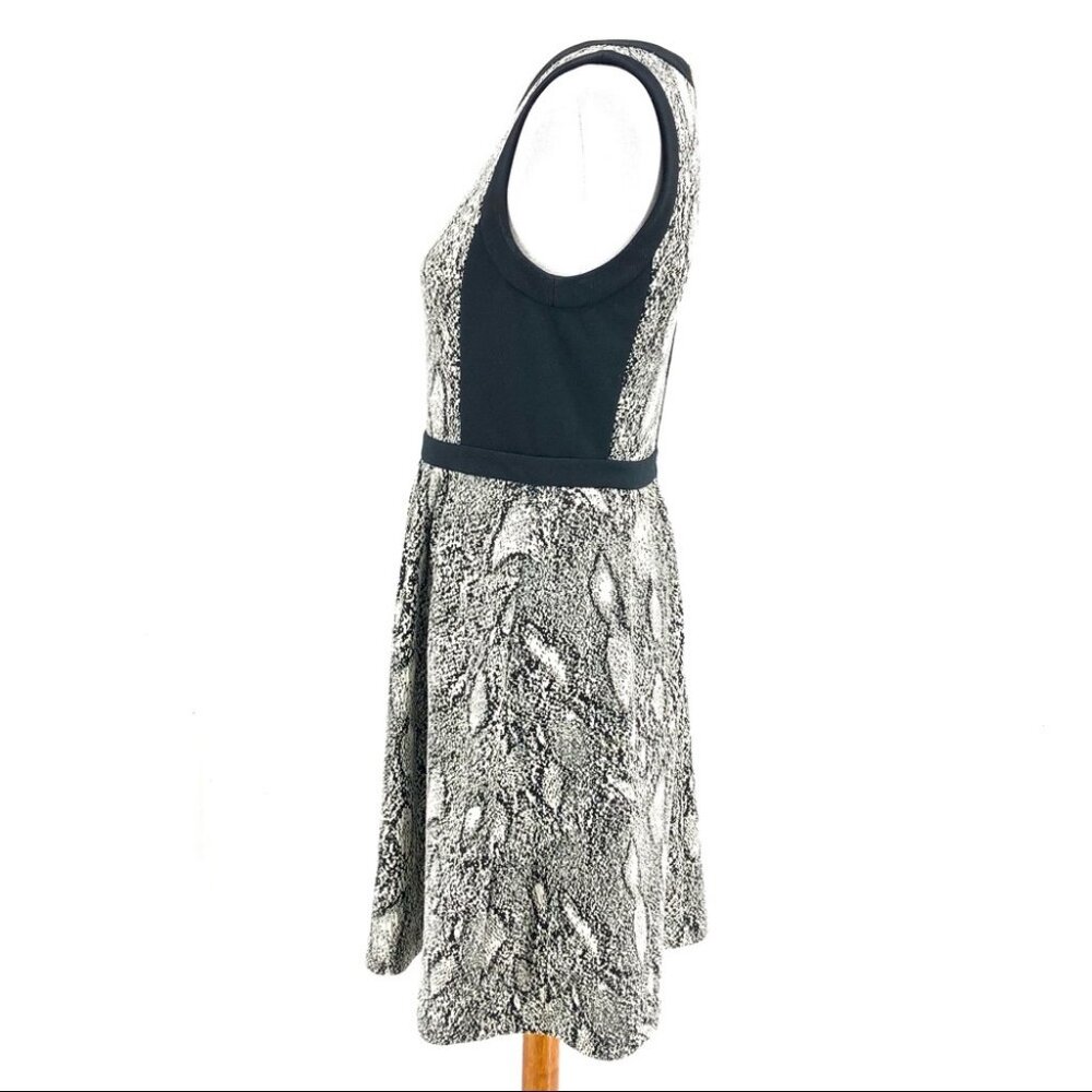 Rebecca Taylor Python Snake Print Gray Black Fit … - image 4